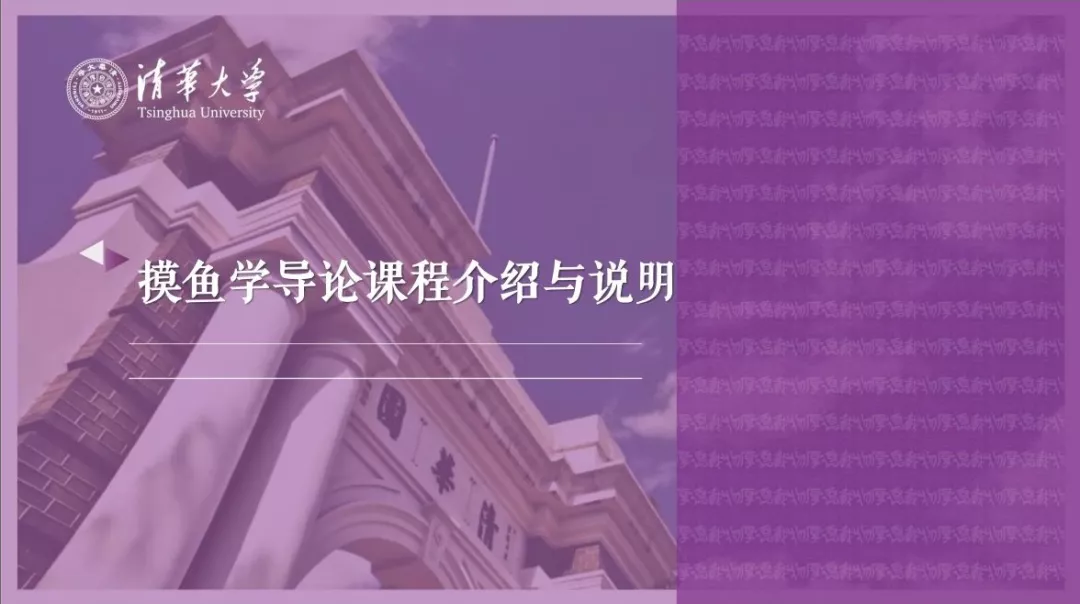 怎么把摸鱼说得清新脱俗