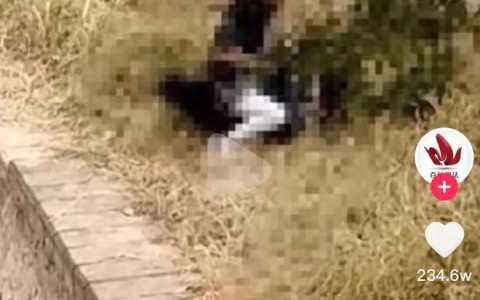 微信附近人30一次，草丛行事仅垫一张报纸！丨事件