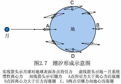 涨潮和落潮的主要原因是：地球自转和