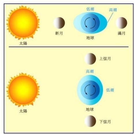 涨潮和落潮的主要原因是：地球自转和