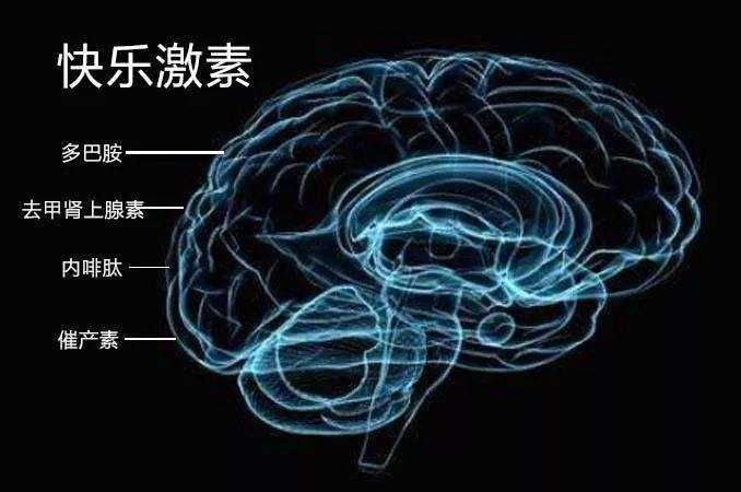 为什么情侣喜欢去小树林？这4点说的很真实丨话题