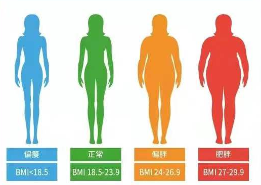 女生体脂率多少最漂亮？20%-22%最完美丨圈说-1