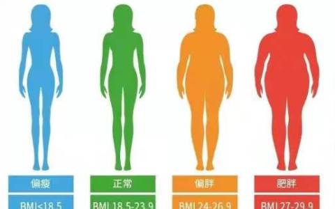 女生体脂率多少最漂亮？20%-22%最完美丨圈说