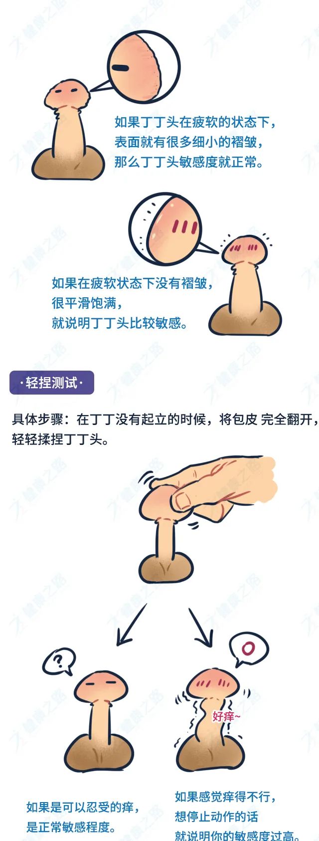 降低龟敏度的训练行为疗法丨技巧