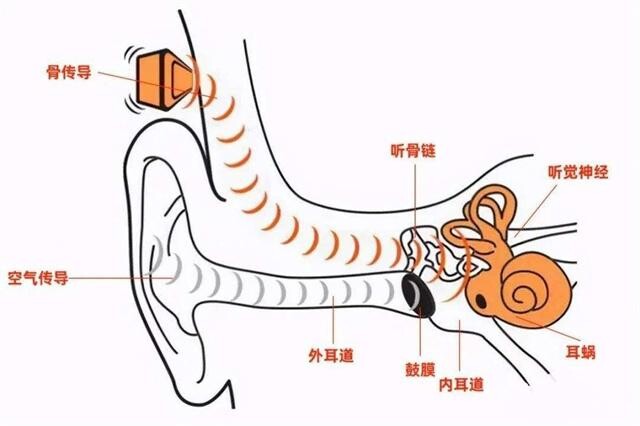 听自己录音难听是真的难听吗