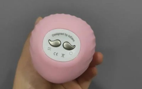 逗豆鸟是放进去吗丨指南