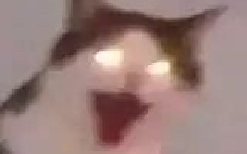 直男真的有可能被掰弯吗丨聊聊