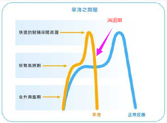 深蹲为什么能提高性功能-4