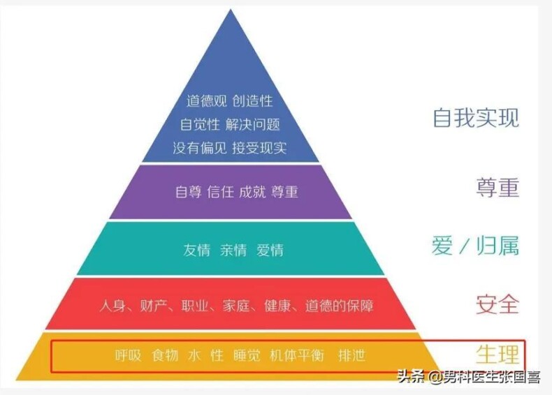 人类为什么都喜欢啪啪啪，原因是什么丨科普