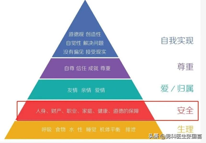 人类为什么都喜欢啪啪啪，原因是什么丨科普