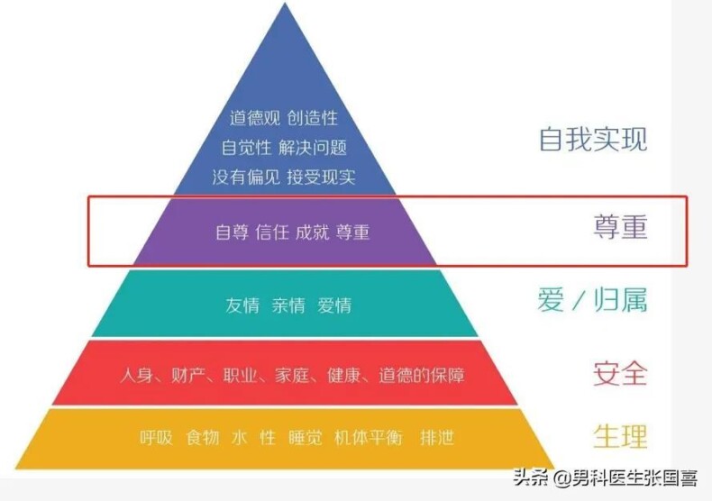 人类为什么都喜欢啪啪啪，原因是什么丨科普