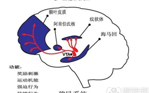 为什么激情不会长久