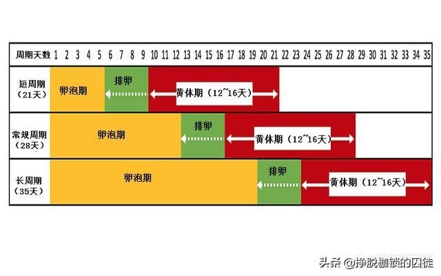 安全期避孕法是谣言吗？大数据告诉你不安全的原因