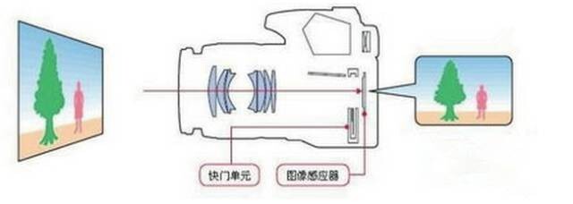 为什么镜子里的我比相机里好看丨科普