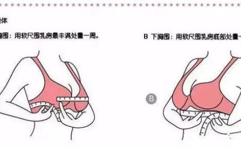 罩杯abcd怎么计算?附详细例子说明