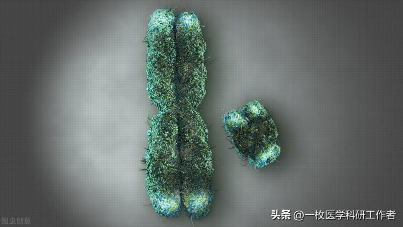 两性寿命差距拉大，男人普遍短命真的吗？从基因到激素，对他好点