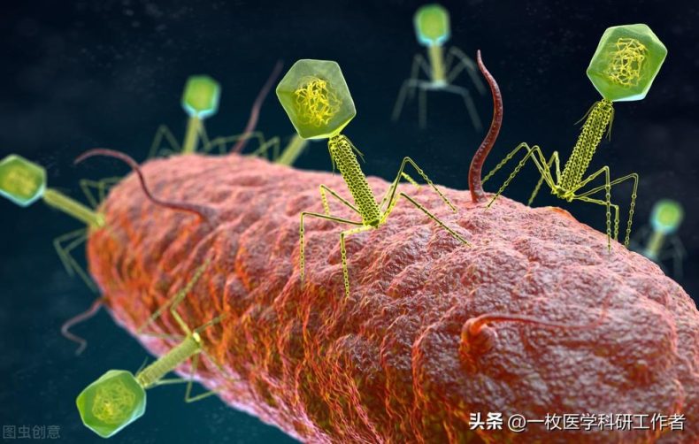 两性寿命差距拉大，男人普遍短命真的吗？从基因到激素，对他好点