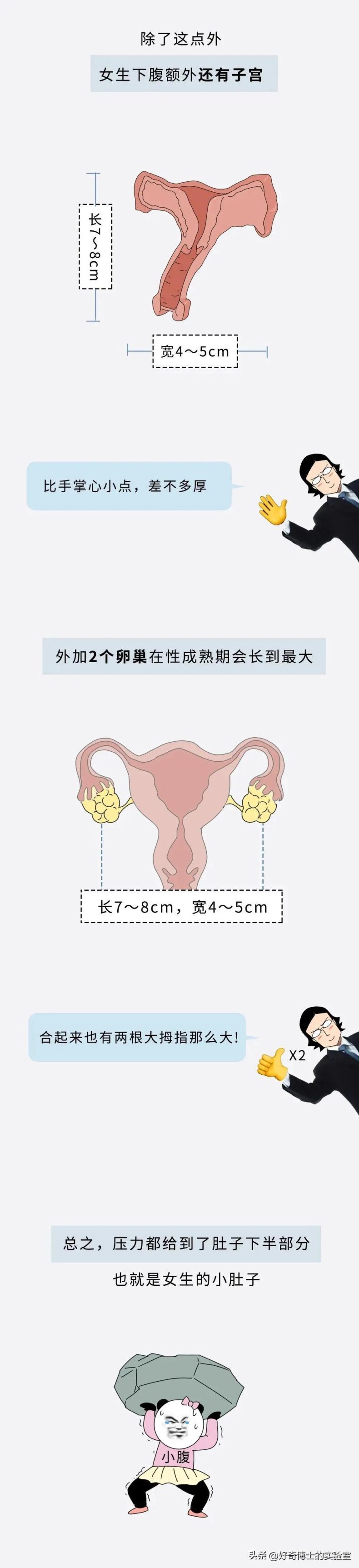 一位女生说出了真相：我看起来明明不胖，为什么还会有小肚子？