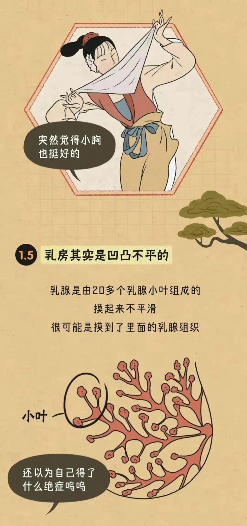 女人的胸部有几种形状？知道怎么正确计算自己的罩杯吗？