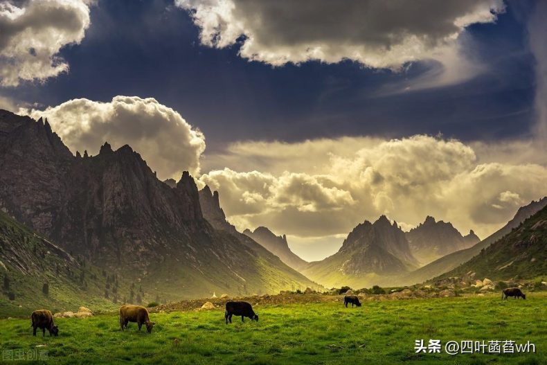 雷尼尔效应：怎样留住男人的心，最好的方式