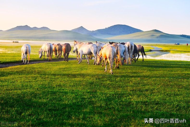 雷尼尔效应：怎样留住男人的心，最好的方式