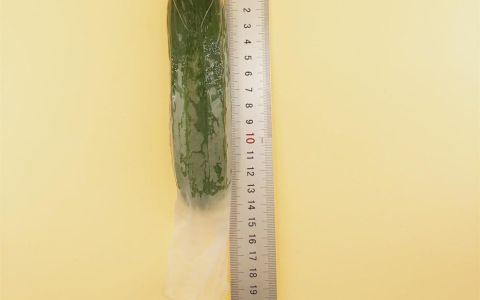 避孕套尺寸怎么选适合自己的？尺寸不对，快乐作废!